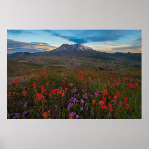 Flowers   Indian Paintbrush & Penstemon Poster