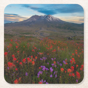 Flowers Indian Paintbrush & Penstemon Square Paper Coaster