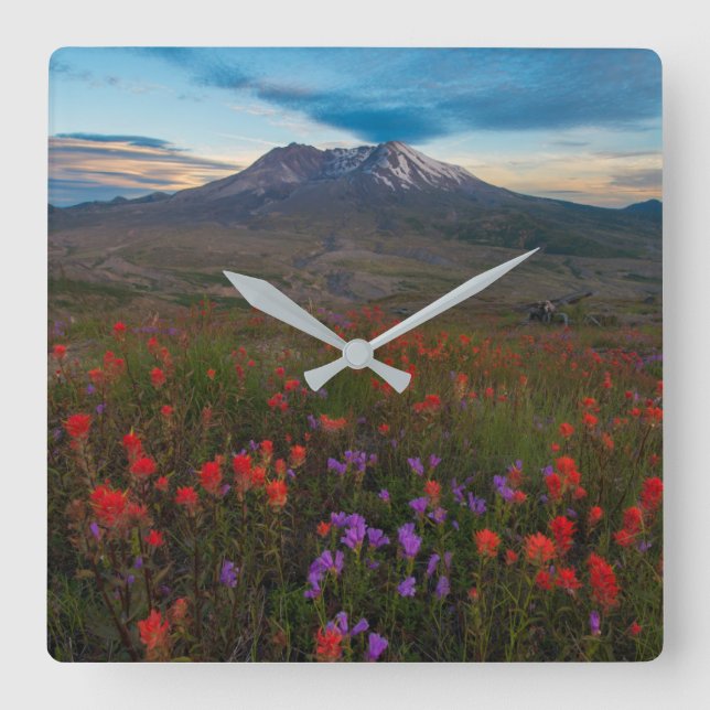 Flowers | Indian Paintbrush & Penstemon Square Wall Clock (Front)