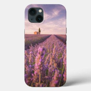 Flowers   Lavender Southern France iPhone 13 Case