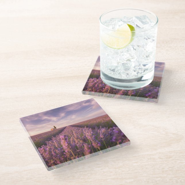 Flowers | Lavender Southern France Glass Coaster (Angled)