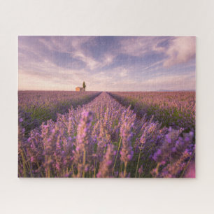 Flowers   Lavender Southern France Jigsaw Puzzle