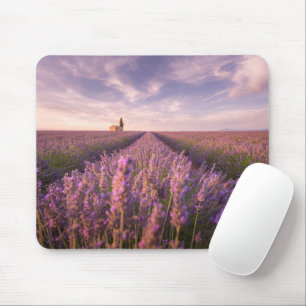 Flowers   Lavender Southern France Mouse Mat