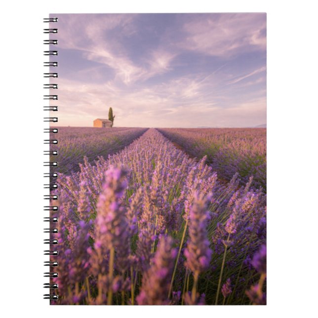 Flowers | Lavender Southern France Notebook (Front)