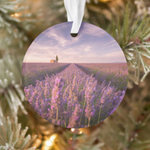 Flowers   Lavender Southern France Ornament