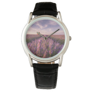 Flowers   Lavender Southern France Watch