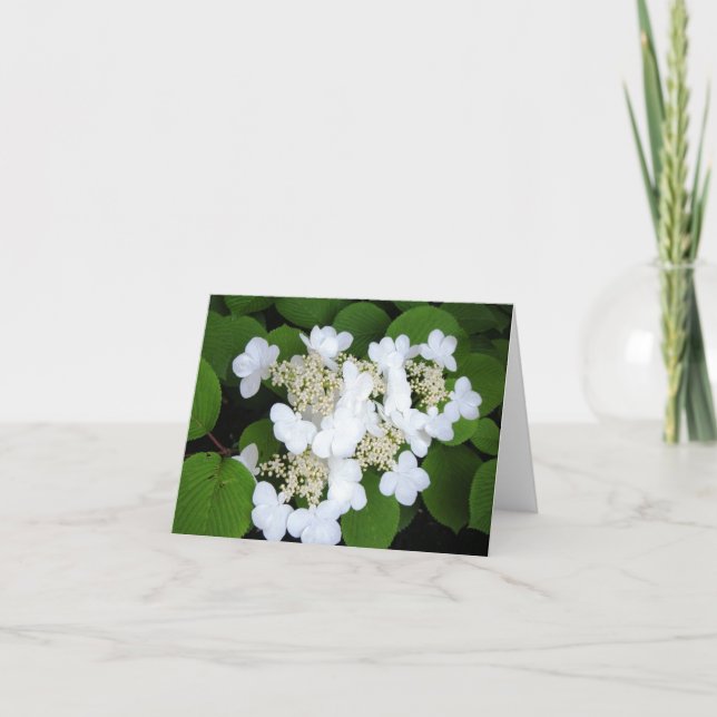 "Flowers Like Butterflies" Card (Front)