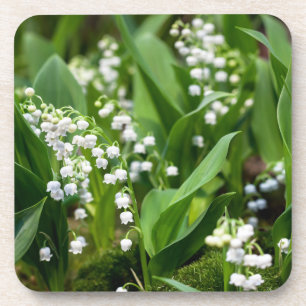 Flowers   Lily of the Valley Sweden Coaster