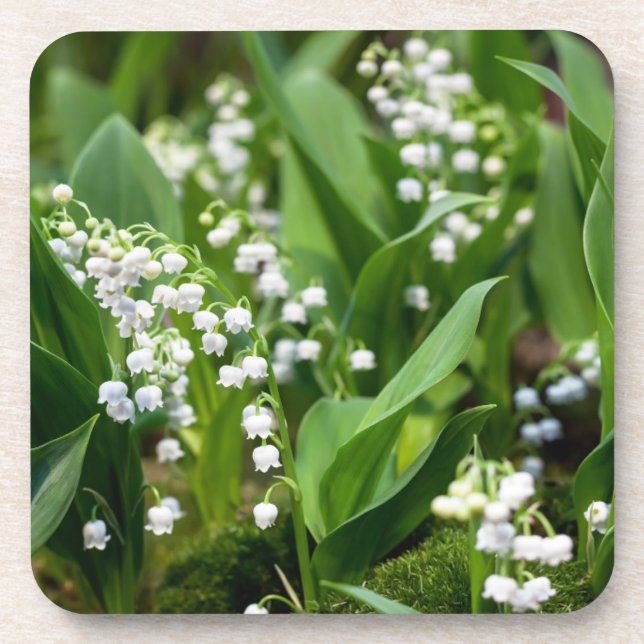Flowers | Lily of the Valley Sweden Coaster (Front)