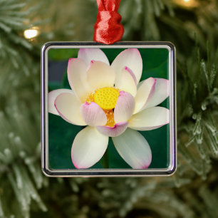 Flowers   Lotus Water Flower Metal Tree Decoration