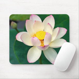 Flowers   Lotus Water Flower Mouse Mat