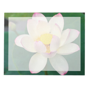 Flowers   Lotus Water Flower Notepad