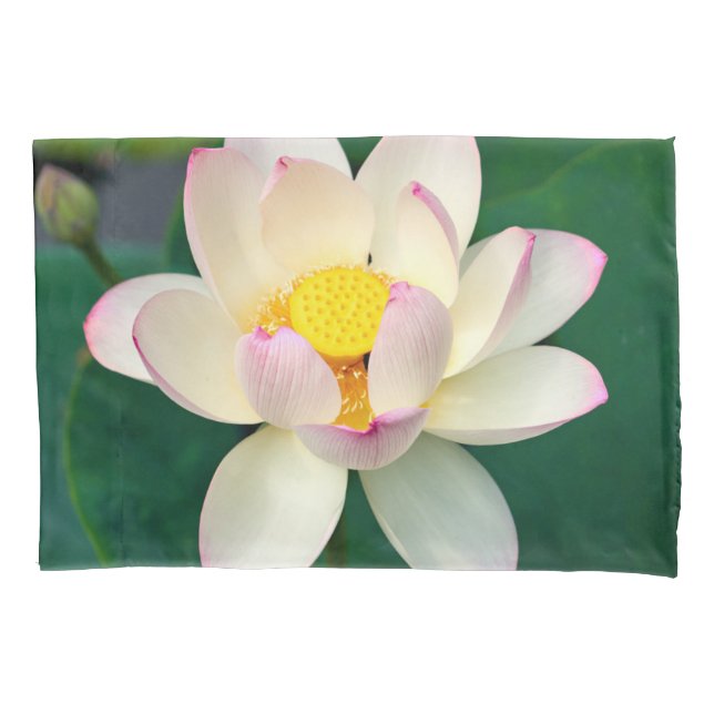 Flowers | Lotus Water Flower Pillowcase (Front)