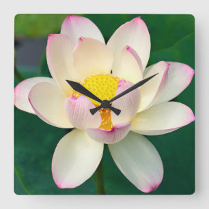 Flowers   Lotus Water Flower Square Wall Clock