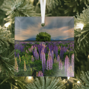Flowers Lupine Field in New Zealand Glass Tree Decoration