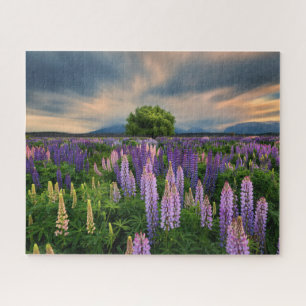 Flowers Lupine Field in New Zealand Jigsaw Puzzle