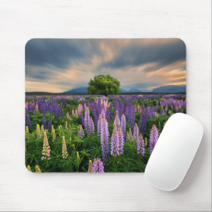 Flowers   Lupine Field in New Zealand Mouse Mat