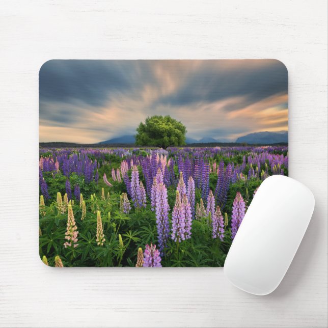 Flowers | Lupine Field in New Zealand Mouse Mat (With Mouse)