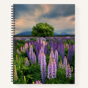 Flowers Lupine Field in New Zealand Notebook