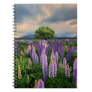 Flowers Lupine Field in New Zealand Notebook