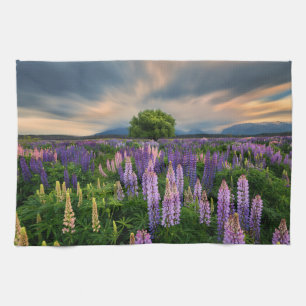 Flowers   Lupine Field in New Zealand Tea Towel