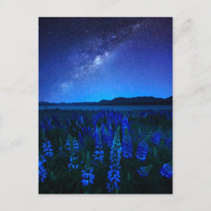 Flowers   Lupines Blooming  at Night Lake Tekapo Postcard