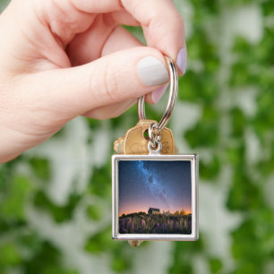 Flowers Lupines Blooming Lake Tekapo New Zealand Key Ring