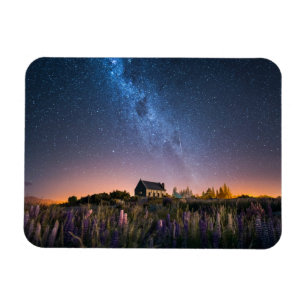 Flowers   Lupines Blooming Lake Tekapo New Zealand Magnet