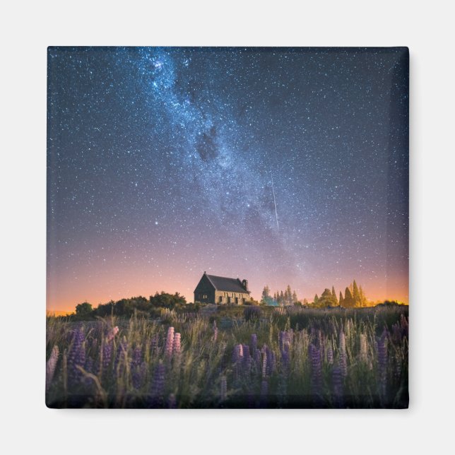 Flowers | Lupines Blooming Lake Tekapo New Zealand Magnet (Front)