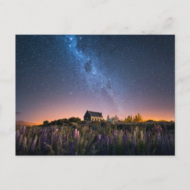 Flowers | Lupines Blooming Lake Tekapo New Zealand Postcard (Front)