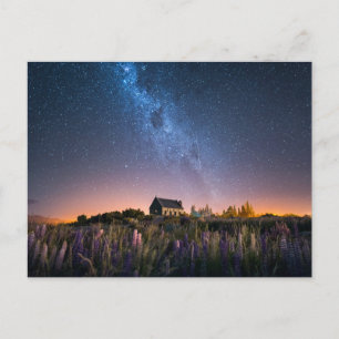 Flowers   Lupines Blooming Lake Tekapo New Zealand Postcard