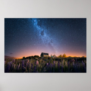 Flowers Lupines Blooming Lake Tekapo New Zealand Poster