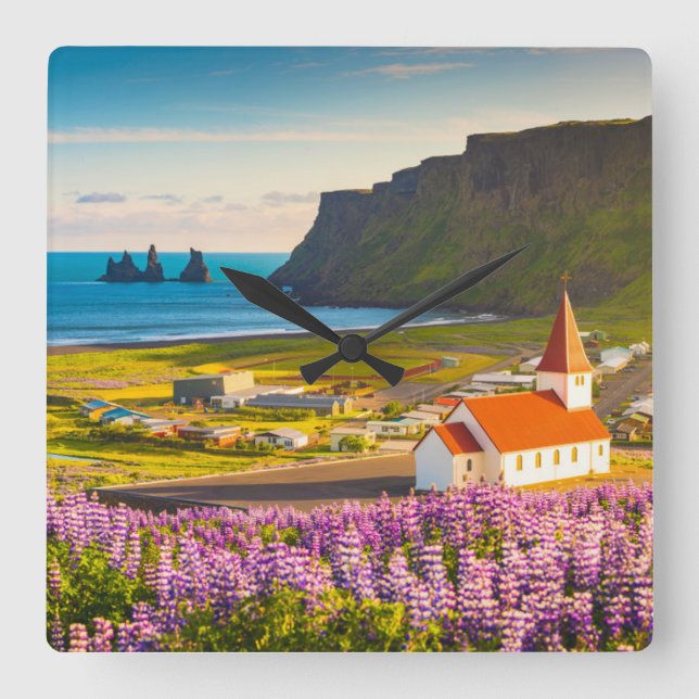 Flowers | Lupines in Bloom Southern Iceland Square Wall Clock (Front)