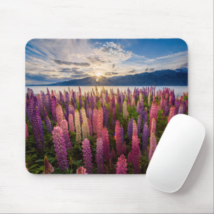 Flowers Lupines New Zealand Mouse Mat