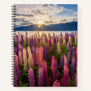 Flowers   Lupines New Zealand Notebook