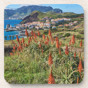 Flowers   Madeira Island Portugal Coaster