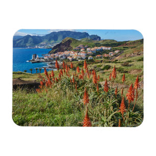 Flowers Madeira Island Portugal Magnet