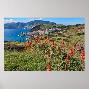 Flowers Madeira Island Portugal Poster