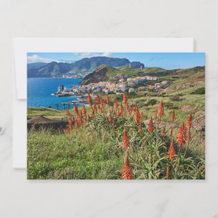 Flowers   Madeira Island Portugal Thank You Card