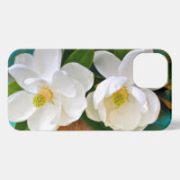 Flowers | Magnolia Flower