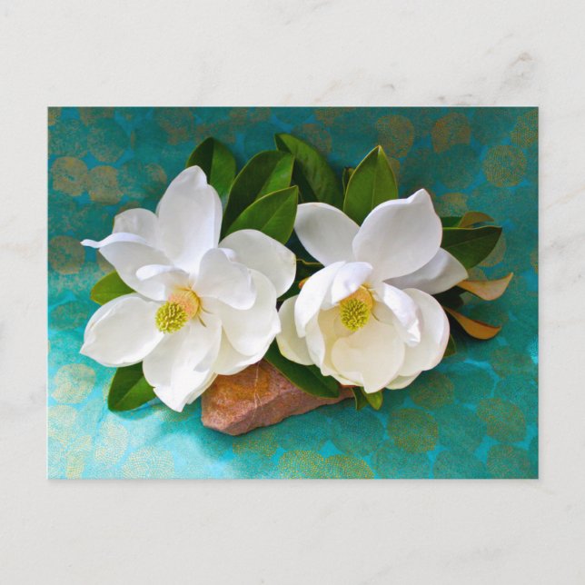 Flowers | Magnolia Flower Postcard (Front)
