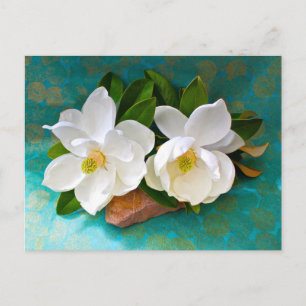 Flowers Magnolia Flower Postcard