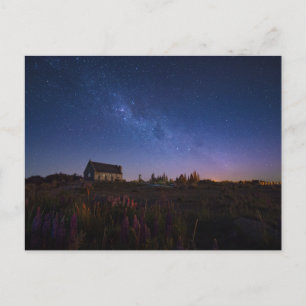 Flowers Milky Way New Zealand Postcard
