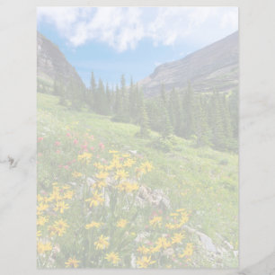 Flowers Montana Flower Path