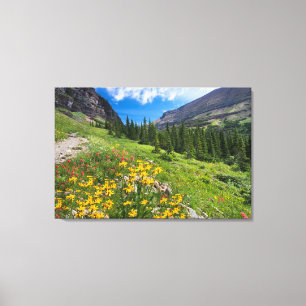 Flowers   Montana Flower Path Canvas Print