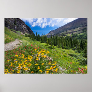 Flowers   Montana Flower Path Poster