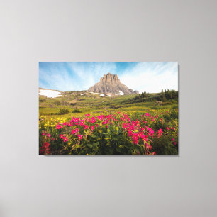 Flowers Montana's Glacier National Park Canvas Print