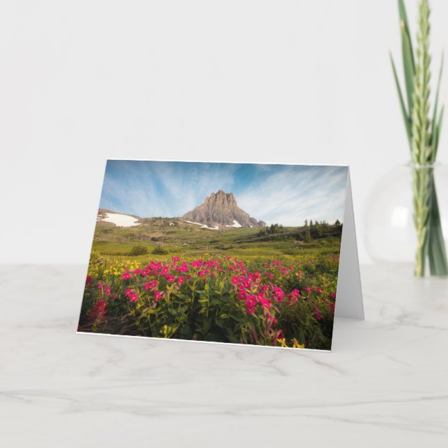 Flowers | Montana's Glacier National Park Card (Front)