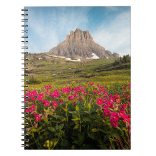 Flowers Montana's Glacier National Park Notebook