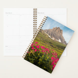 Flowers Montana's Glacier National Park Planner